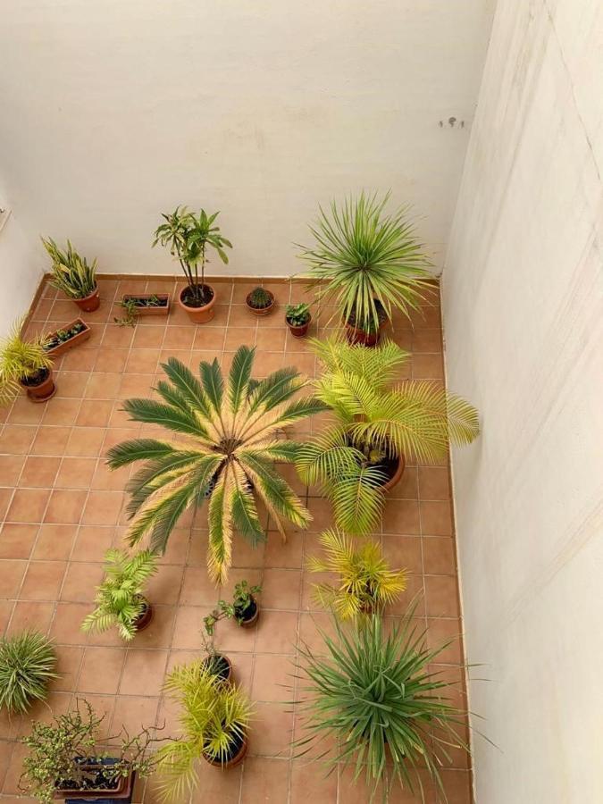 Apartamento En El Centro, Tranquilo Y Luminoso Málaga Eksteriør bilde